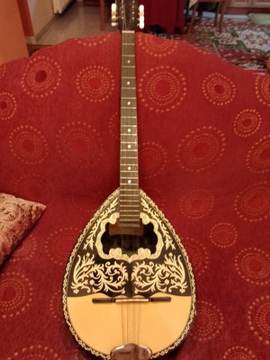Four-string bouzouki new, unused
