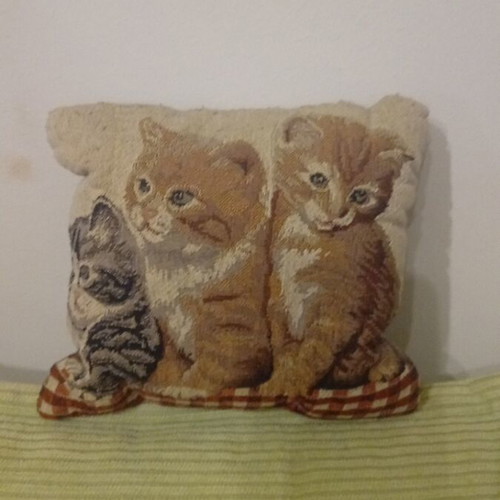 Small decorative pillow with kittens like new, 17×17