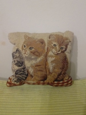 Small decorative pillow with kittens like new, 17×17