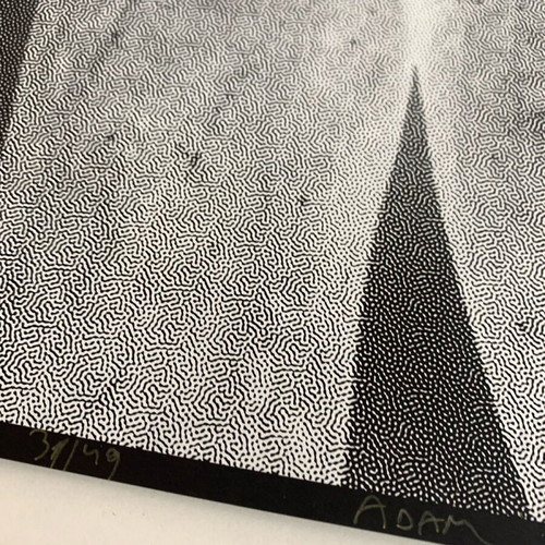 Silkprint screen print Adam new, numbered edition