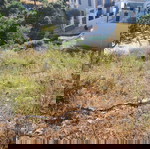  ΟΙΚΟΠΕΔΟ ΣΤΟ ΔΡΟΜΟ ΤΟΥ ΚΑΤΑΡΡΑΚΤΗ