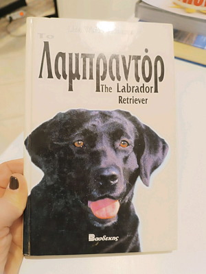 Labrador book like new