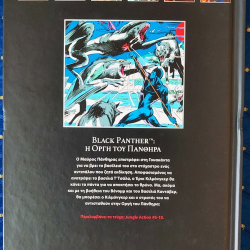 Black Panther: The Wrath of the Panther graphic novel used