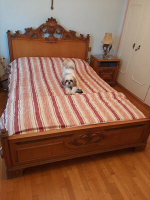 Vintage Varagkis Bed used