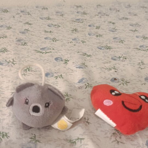 Chupa Chups Vintage Plush Keychain Set with Koala and Jumbo Heart, Like New