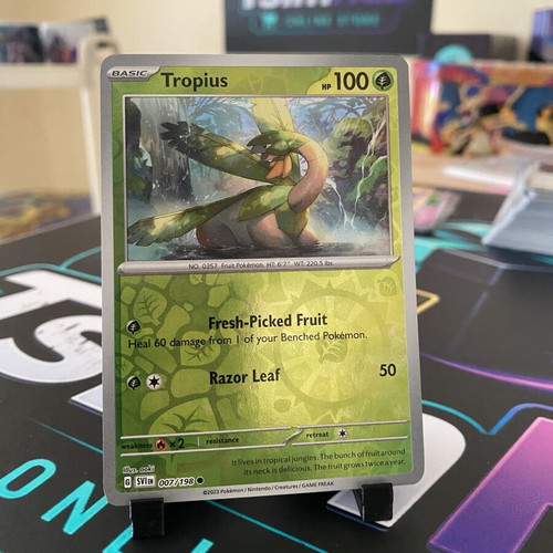 Tropius Pokemon Card like new