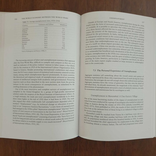 The World Economy Between the World Wars Hardcover like new