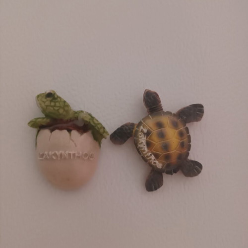 Zakynthos turtle fridge magnets, one with egg