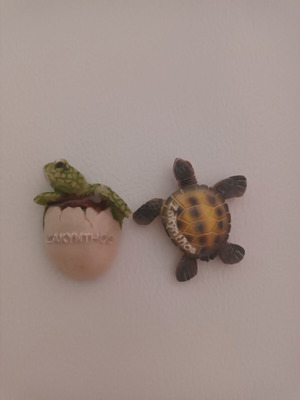 Zakynthos turtle fridge magnets, one with egg
