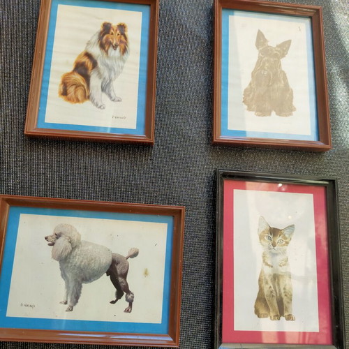 Collection of 4 framed animal art prints from England