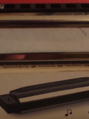 Diatonic Harmonica 10 Holes like new, ideal for beginners