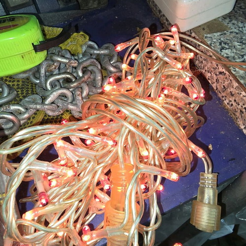 Pink stable lights used