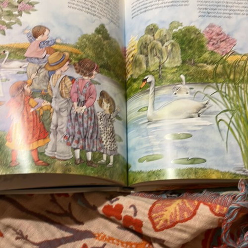 Hans Christian Andersen illustrated fairy tales book