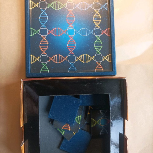 Mind Challenge Link game used, single player