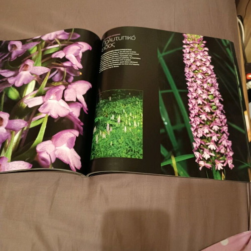 Photo book Wild Flowers like new, album