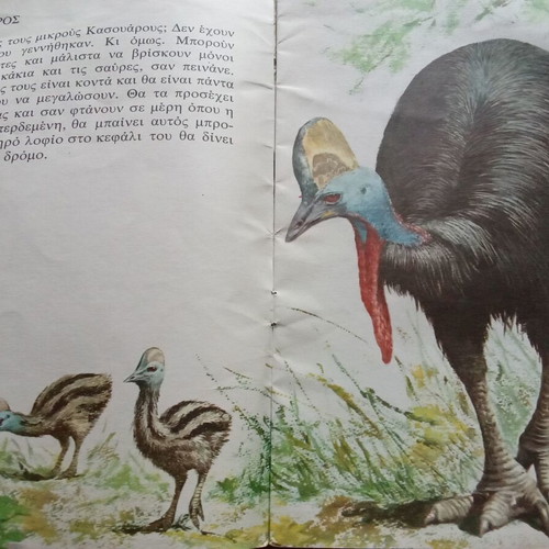 The World of Animals for Children used book