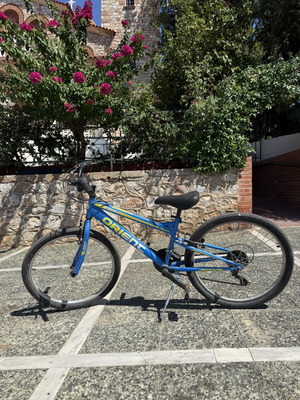 Orienc Exel 24-inch men's bike, blue, with gears