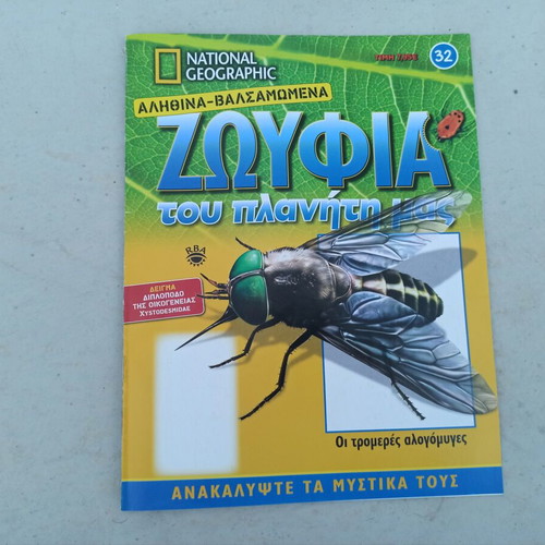 National Geographic Xystodesmidae Millipede with Book like new