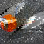  Carnelian φανταστικό δαχτυλιδι one size