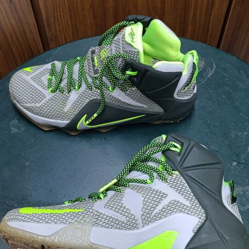 Nike LeBron The Twelve athletic shoes used, size 42