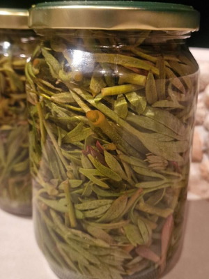 Critamo jar new harvest 2025