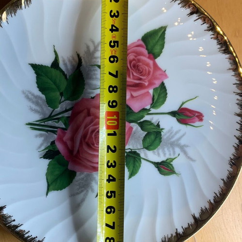 Mitterteich Bavaria porcelain collectible plate like new