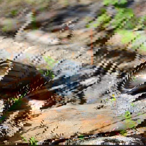 Emegencry Backpack Kit 30L Horse Tactical new