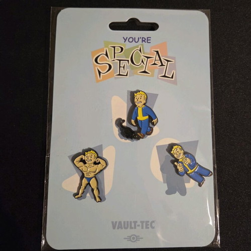 Fallout 76 Amazon Special Edition for PlayStation 4 used