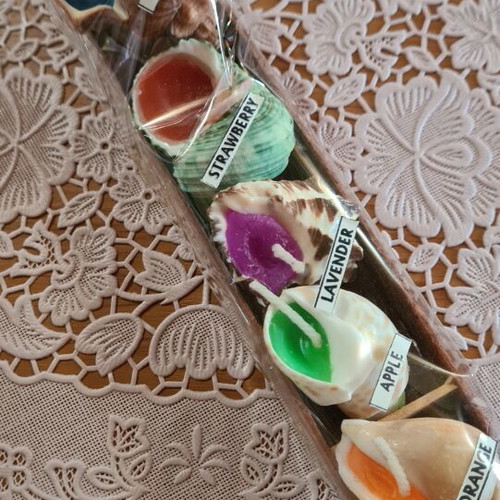 Scented candles in shell shape new