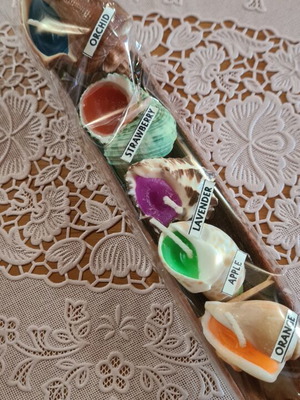 Scented candles in shell shape new