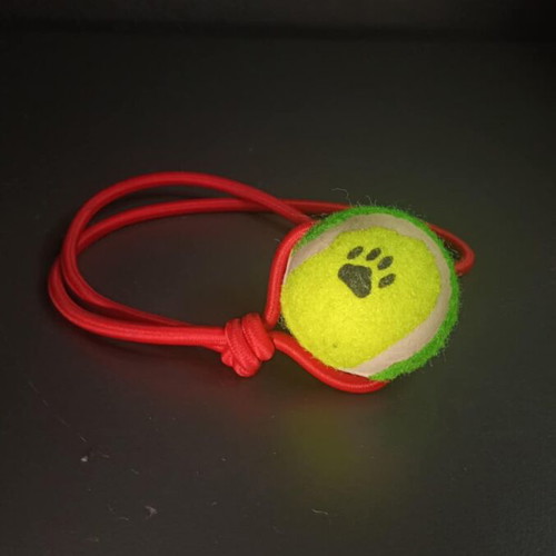 Dog Toy new