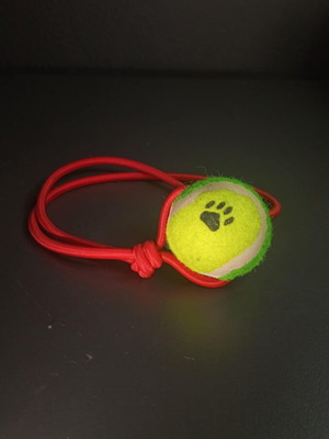 Dog Toy new