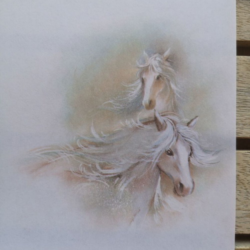 Letter paper with horses like new