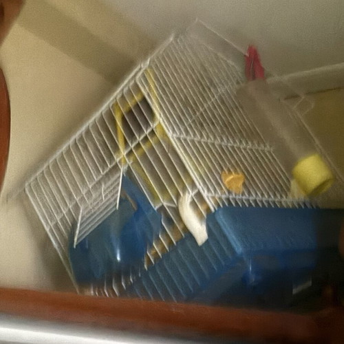 Canary cage with food and water accessories, approx. 30 x 50 cm