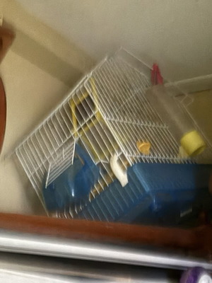 Canary cage with food and water accessories, approx. 30 x 50 cm