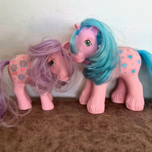 My Little Pony Bright Bouquet couple first generation used
