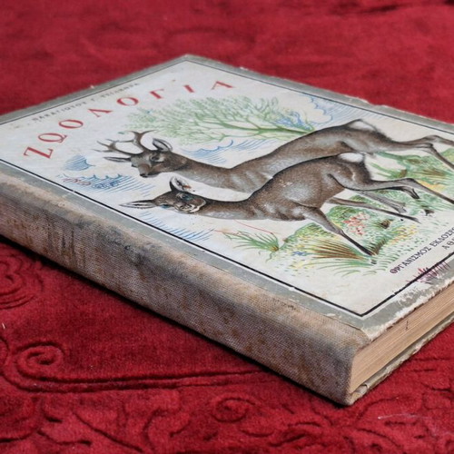 Zoology used, first edition 1950 by Panagiotis G. Tsilithras