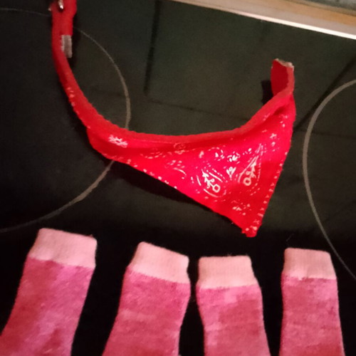 Dog paw socks for small dog like new
