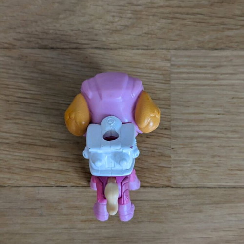 Skye Paw Patrol used