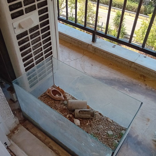 Fish tank without lid, used, about 1 year