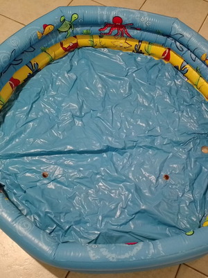 Inflatable Kids Pool used with sea animal motifs