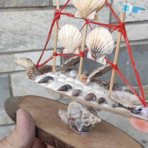 Boat composition with shells new