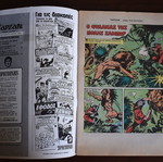 Super Tarzan (Monthly) No. 91 February 1983 used