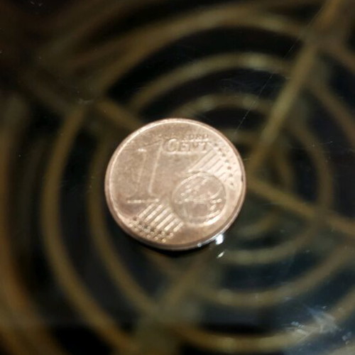 1 Cent Coin With Oak Twig Used (2019)