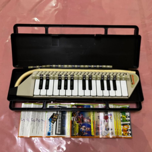 Bontempi Melodica like new with case and accessories