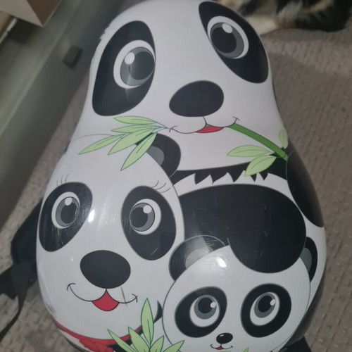 Children's hard backpack used with panda design