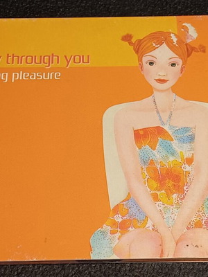 Only Through You CD Single Digipak used, Raining Pleasure