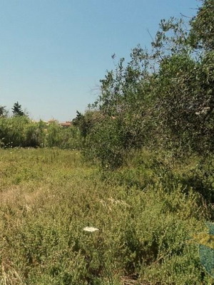 Οικόπεδο 250 τ.μ. στην περιοχή Χαλκίδας εντός σχεδίου πόλεως