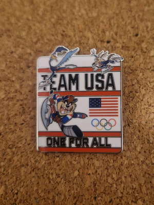 Team USA Olympic Pin new