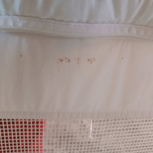 Vintage wooden baby cot with used Greco Strom mattress